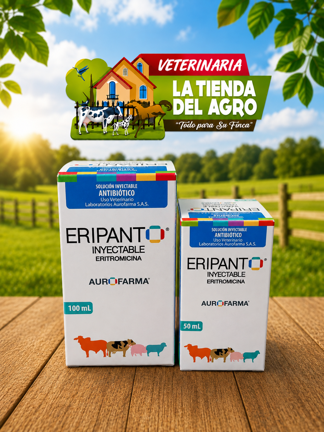 ERIPANTO 